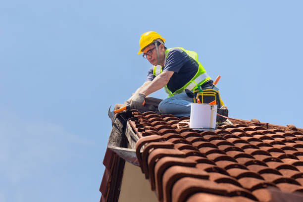 Best Storm Damage Roof Repair  in Rugby, ND